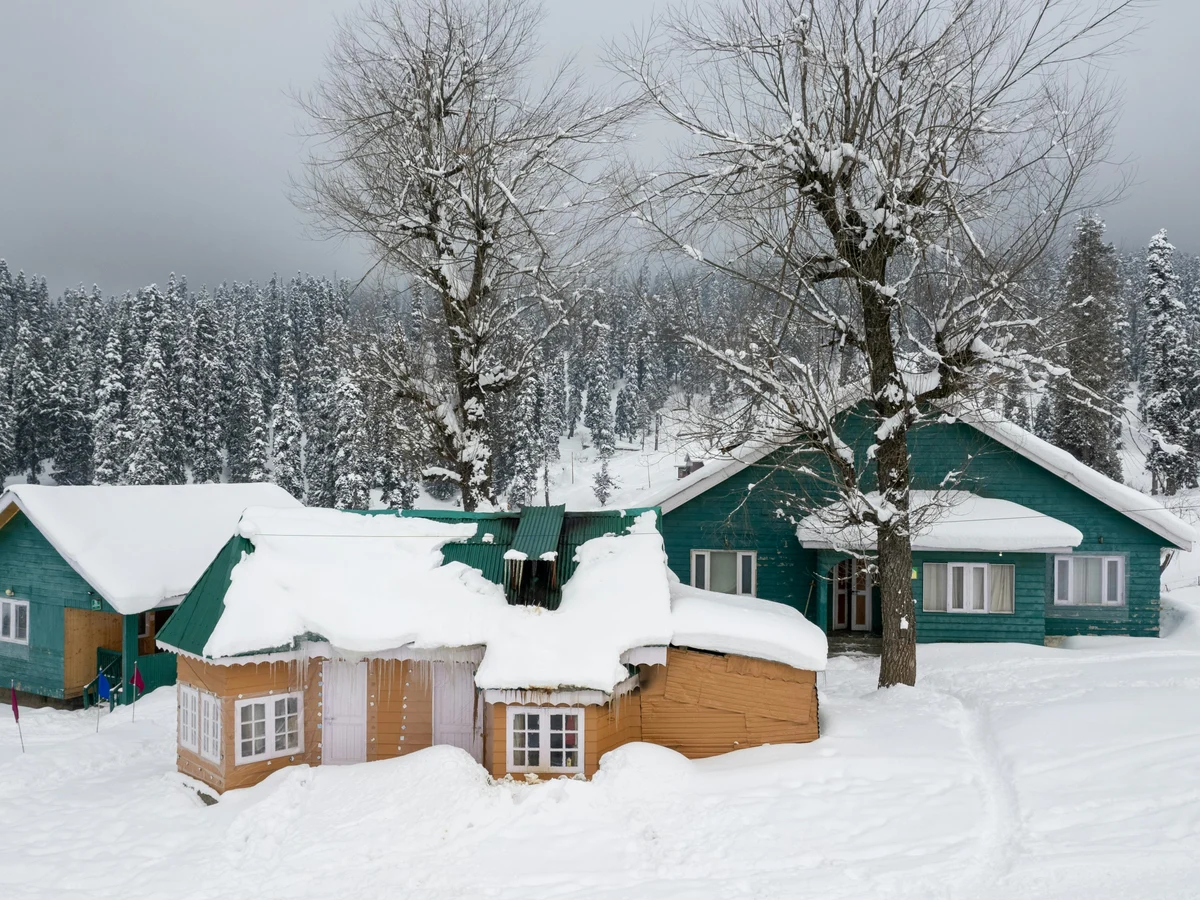 Huts by the Coniferous Forest in Winter