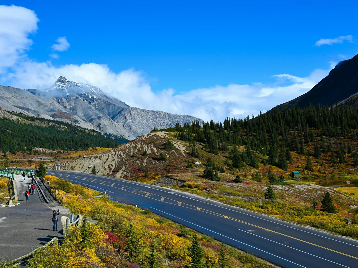 Hills and Mountains with Trees Near Highway, Jasper, AB, Canada