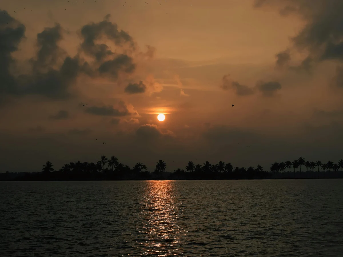 Trees by the Lake During Sunset