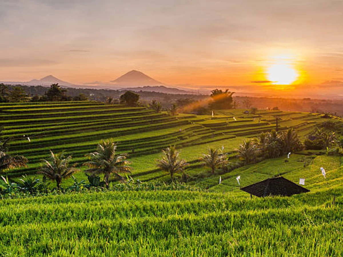 Rice terraces in mountains at sunrise, Bali Indonesia