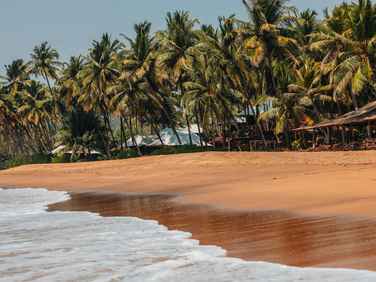 Tropical Beach with Palm Trees at Sunset
