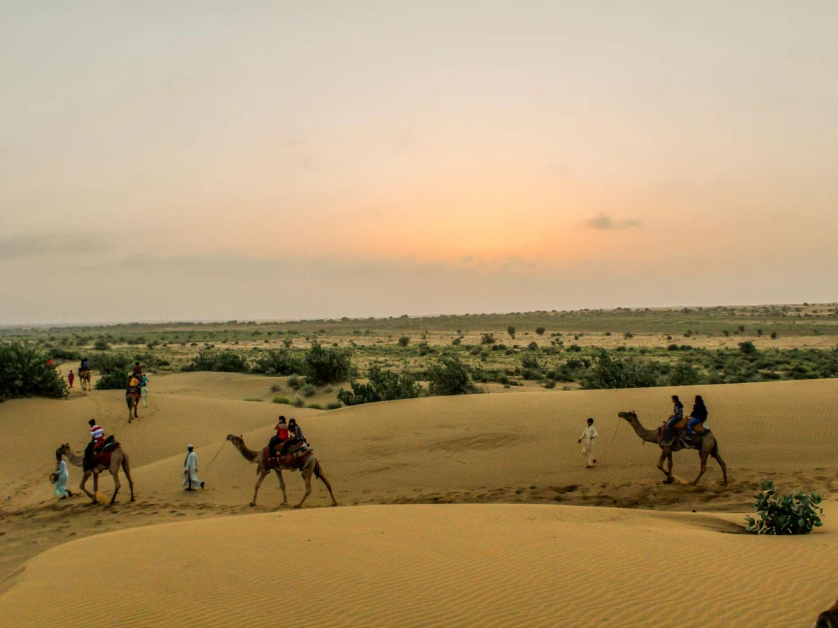 Camel Safari at Sam Sand Dunes, Jaisalmer