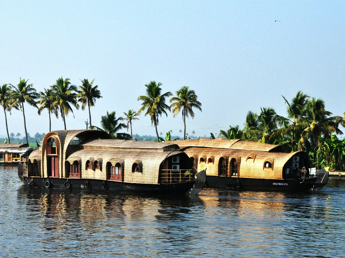 Wooden Houseboats on a Body of Water Near Palm Trees