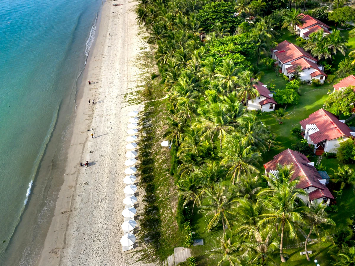 Drone Shot of Buildings and Palm Trees Near the Sea