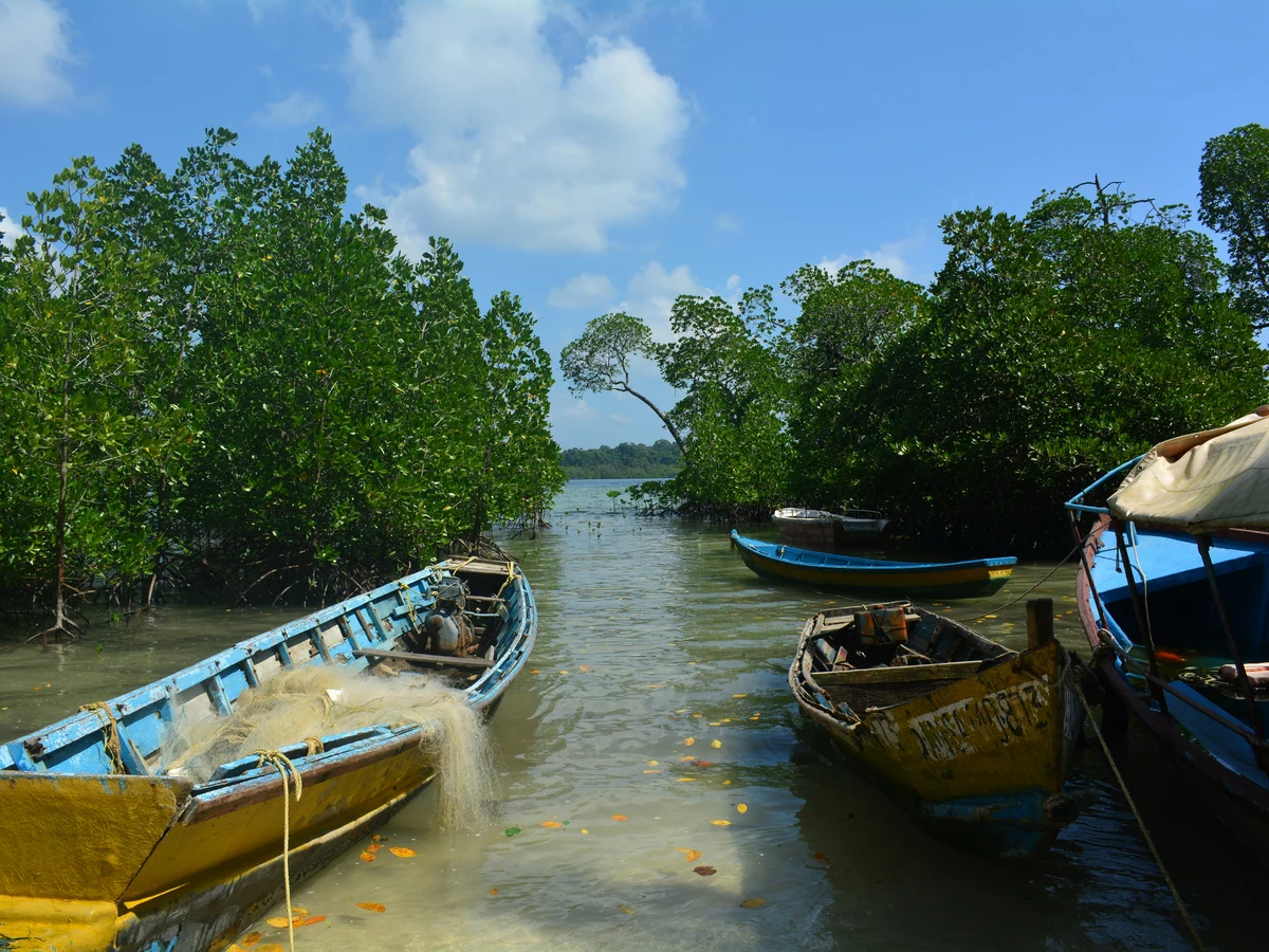 Scuba Diving & Mangrove Forest Kayaking