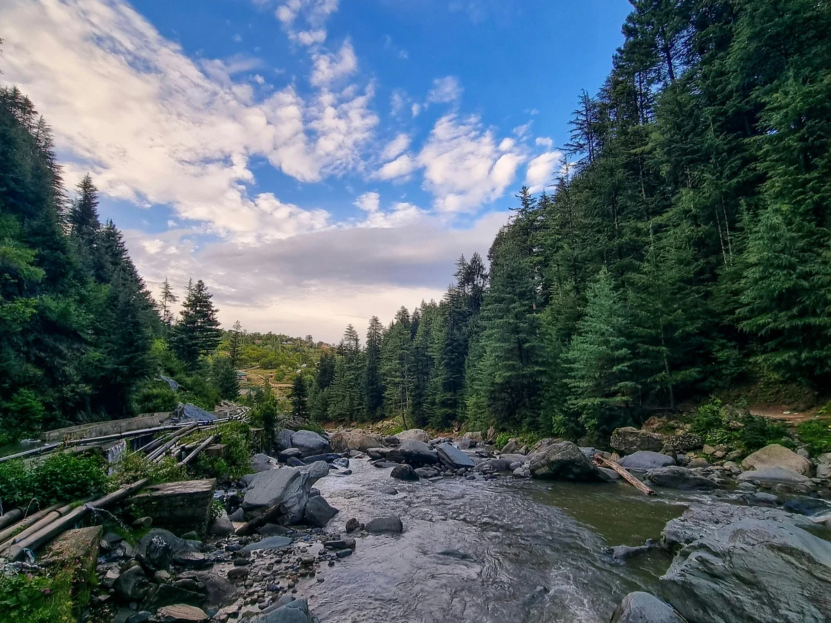Serene River in Lush Forest Landscap