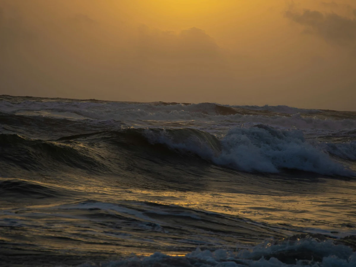 Photo of Sea Waves Under a Golden Sun