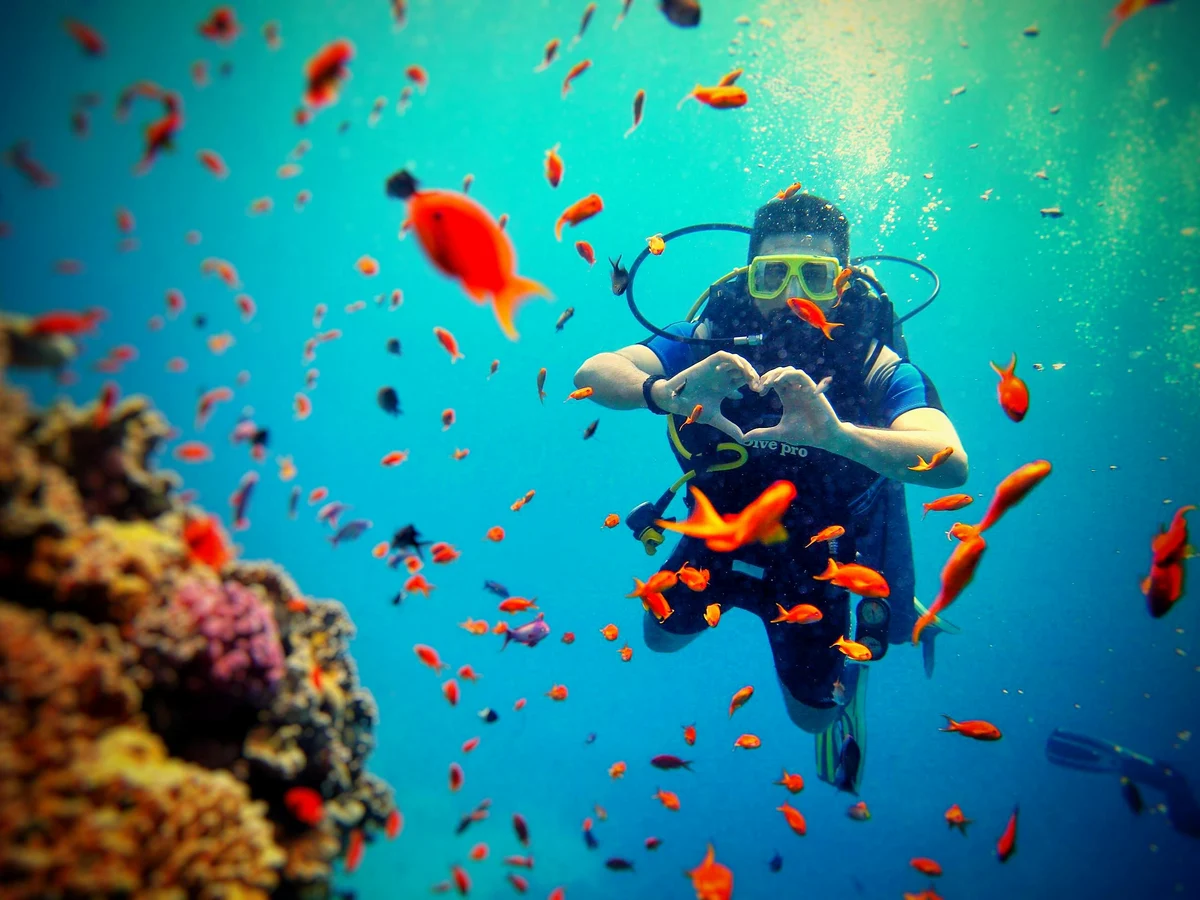 Scuba Diver Exploring Vibrant Coral Reef
