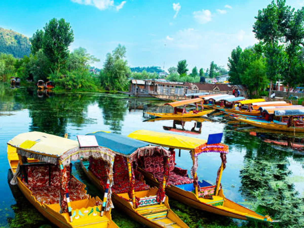 Shikaras boat on dale lake in Srinagar,Jammu Kashmir,India
