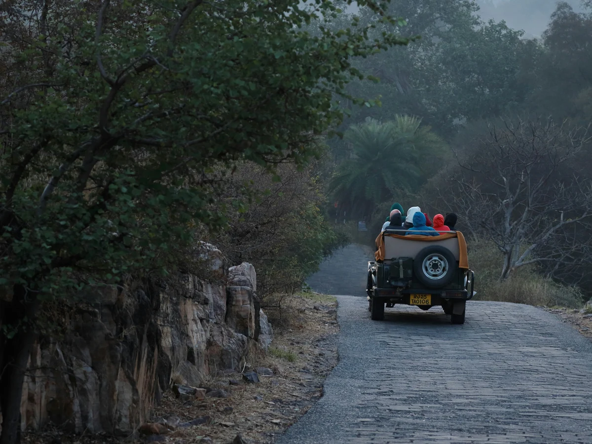 Ranthambore National Park, Rajasthan, India (2)