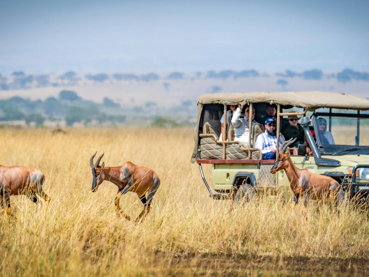 kenya safari adventure