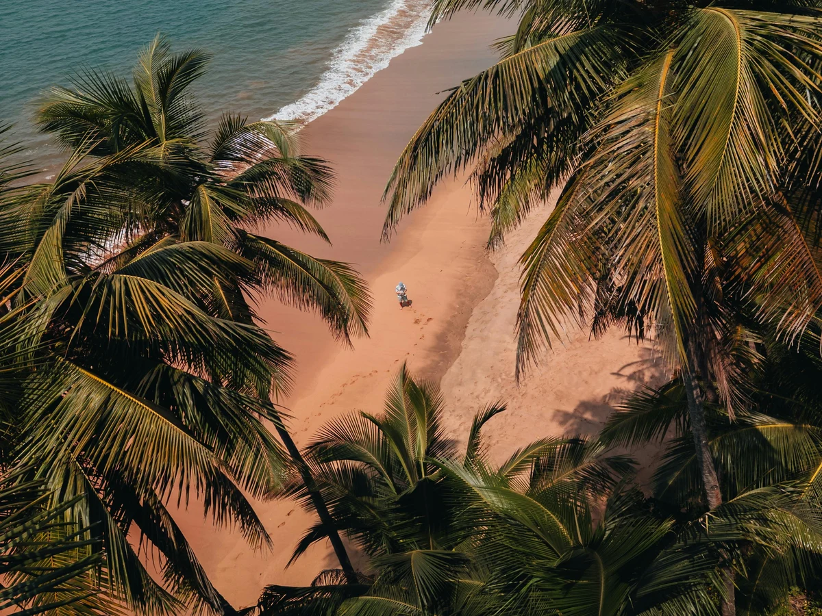 People Dining at the Beach (2)