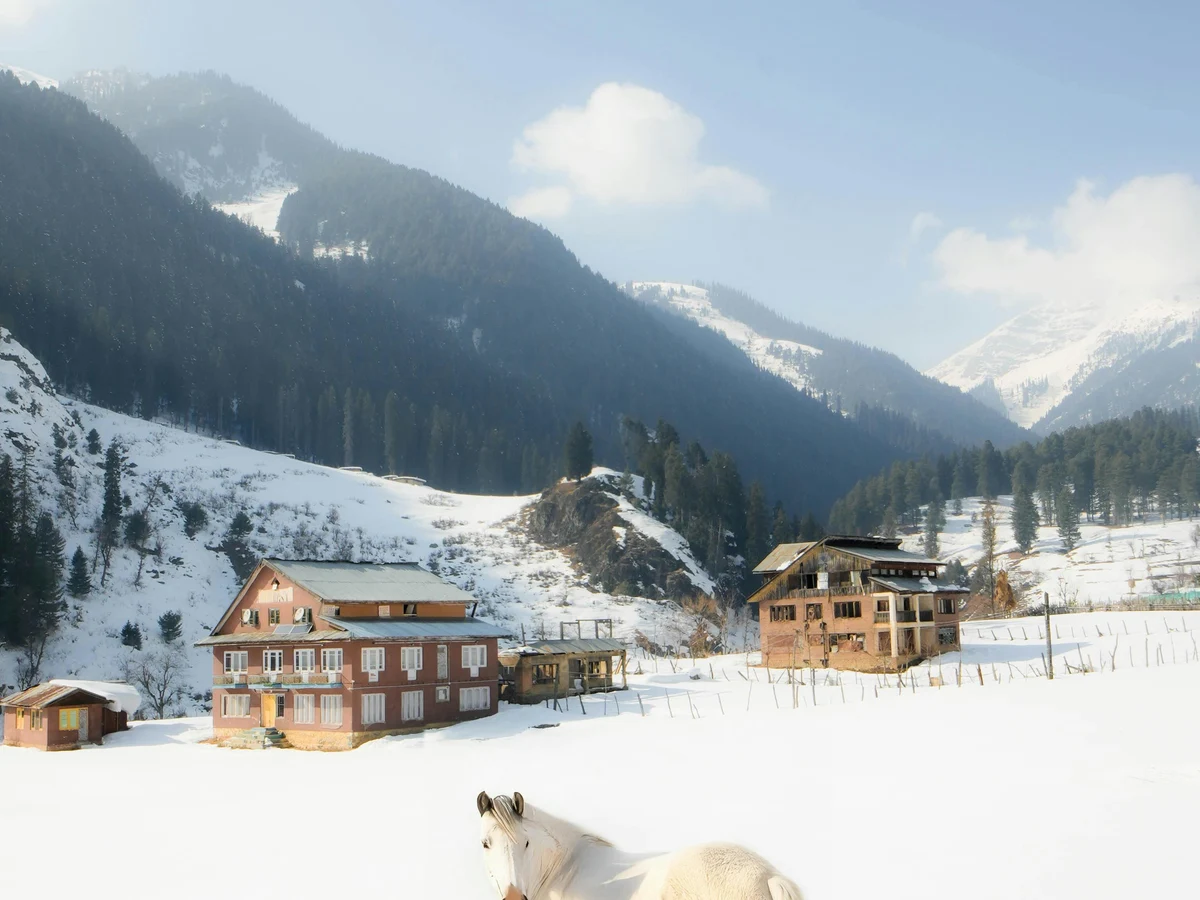 White Horse in Snowy Pahalgam Mountain Landscape