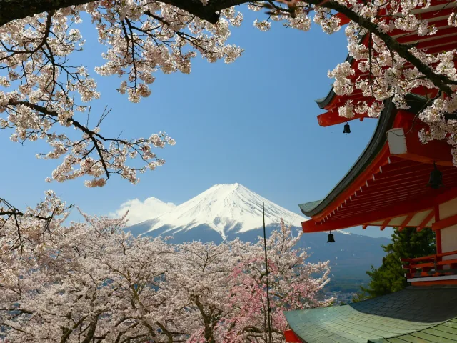 Serene View of Mount Fuji with Cherry Blossoms