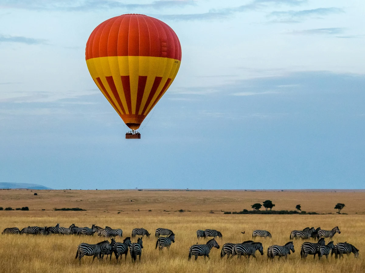 Maasai Mara National Reserve, Narok County, Kenya