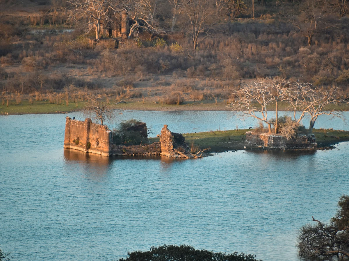 vishal daryani fovCgJMvCA0 unsplash