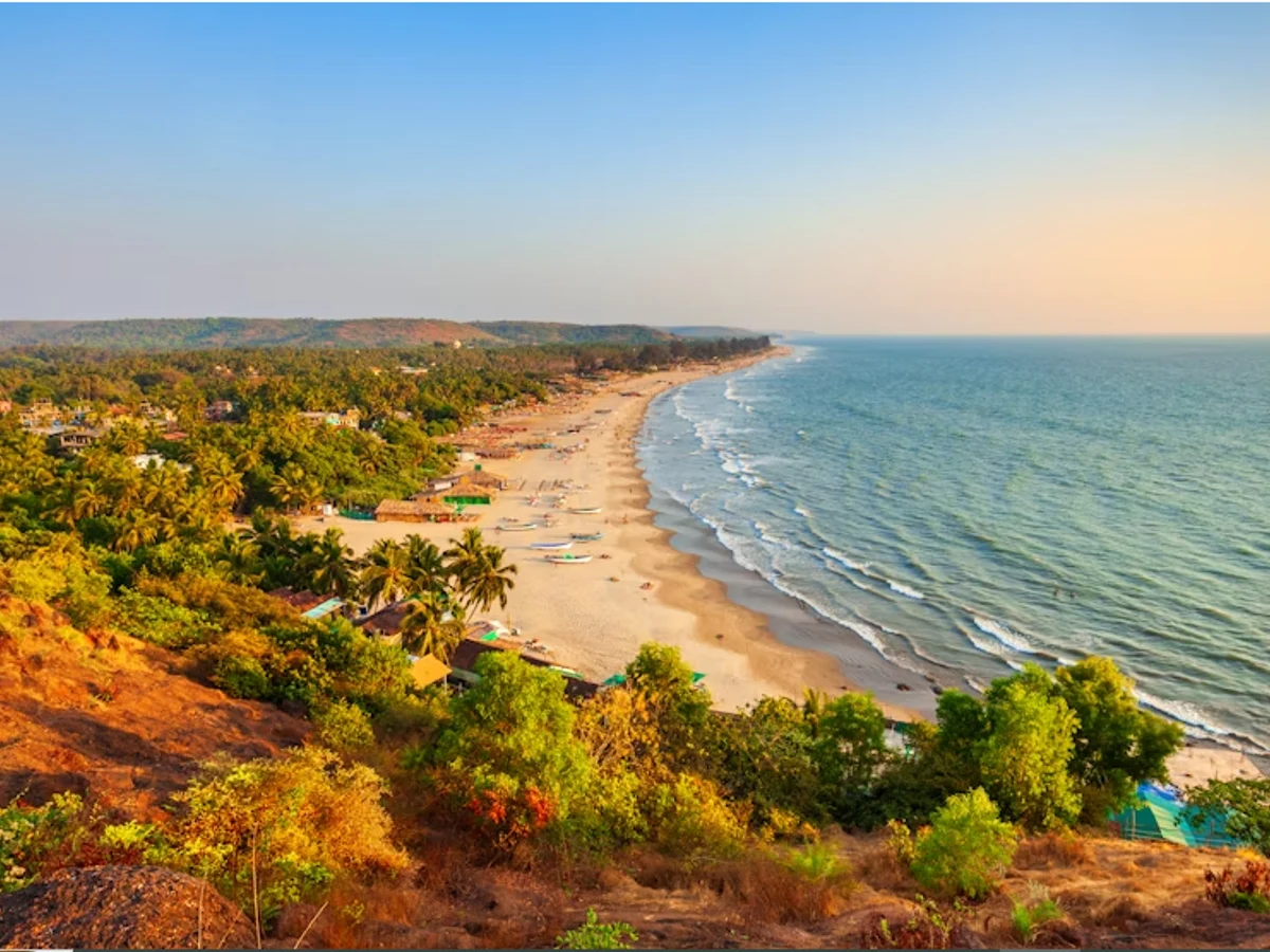 Relax on the sun kissed beaches of Goa