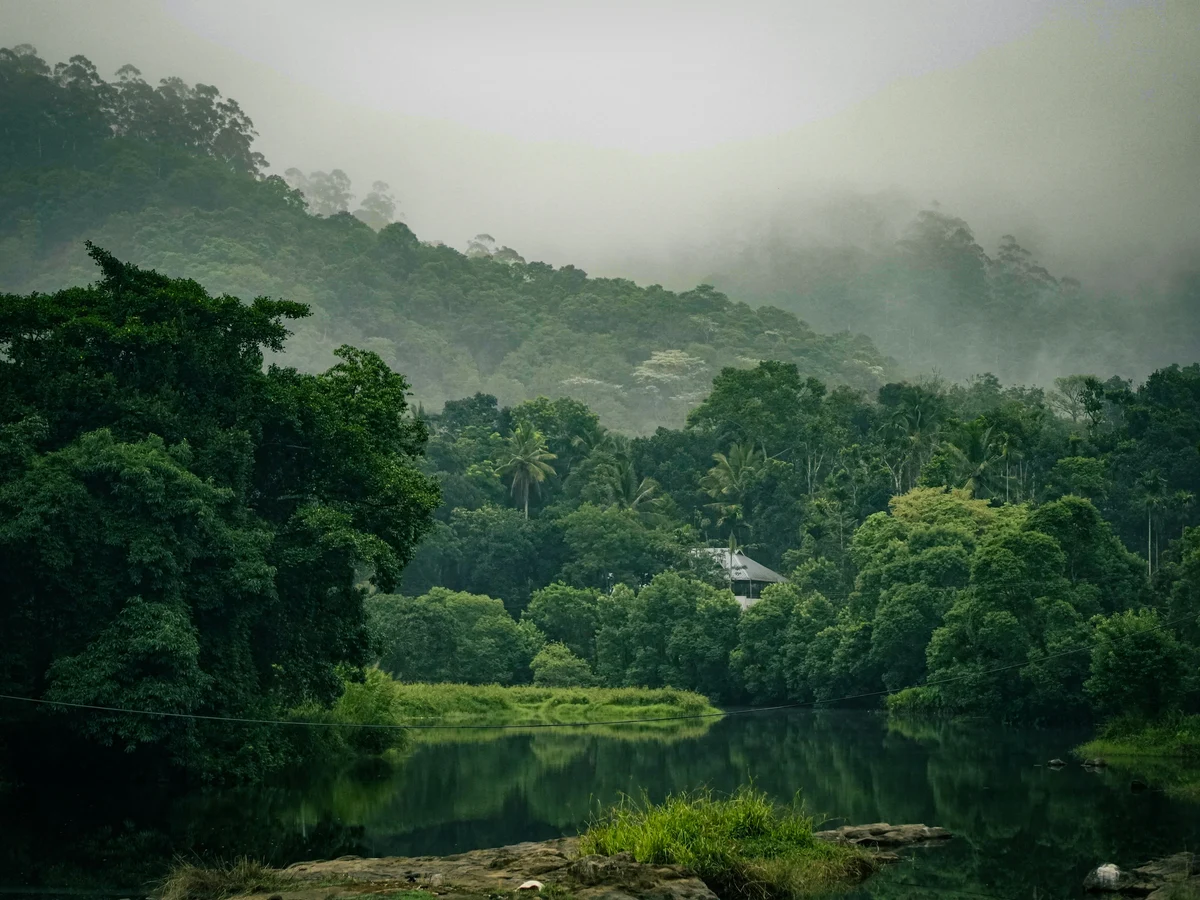 Thekkady, Kumily, Kerala, India