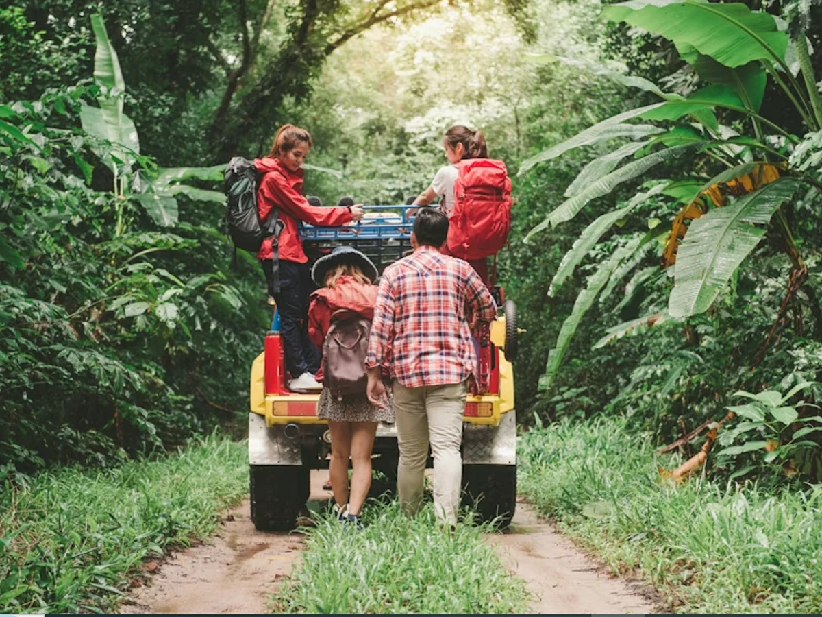 The wait for a glimpse of the striped beast... one of those beautiful mornings in a jungle.