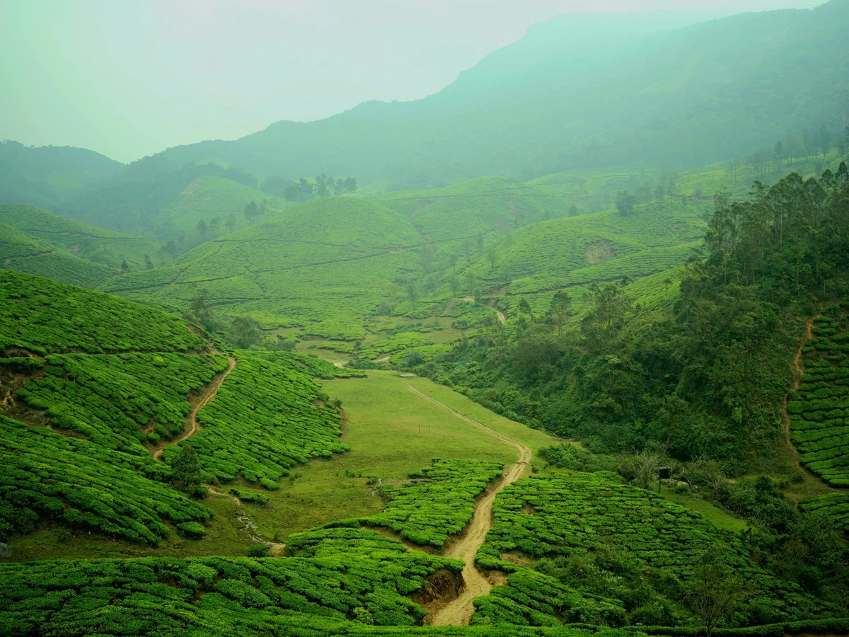 Munnar, KL, India