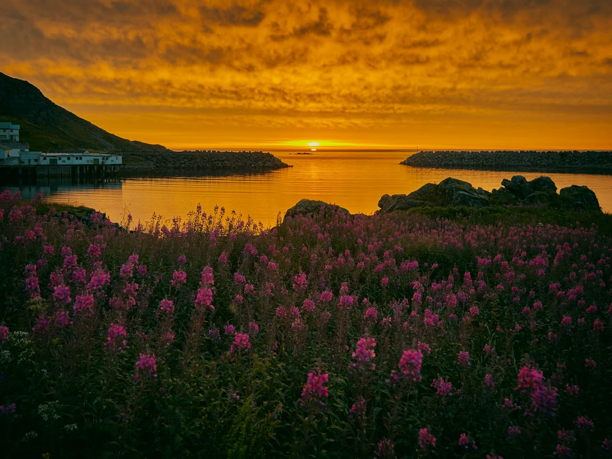 Midnight Sun, Nykvåg, Norway