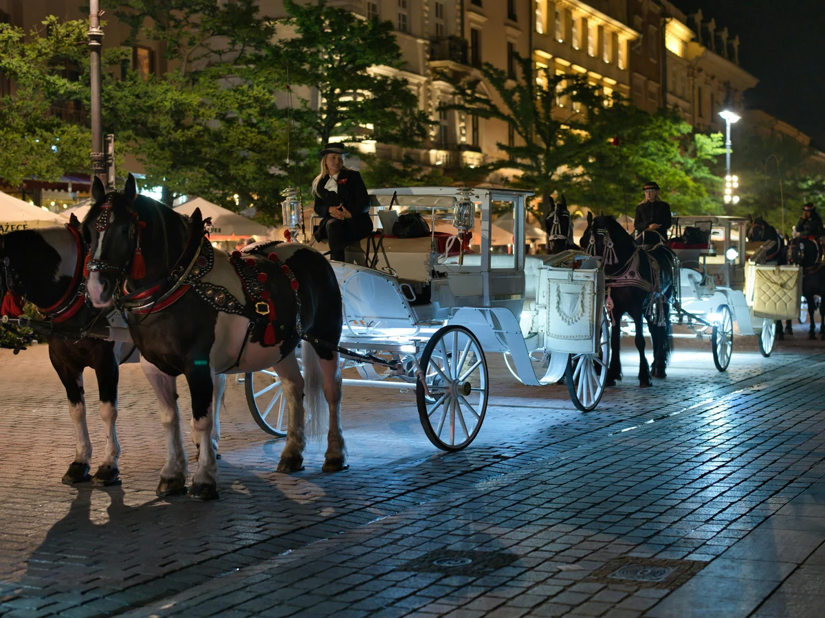 Horse drawn Carriages in Kraków Old Town at Night