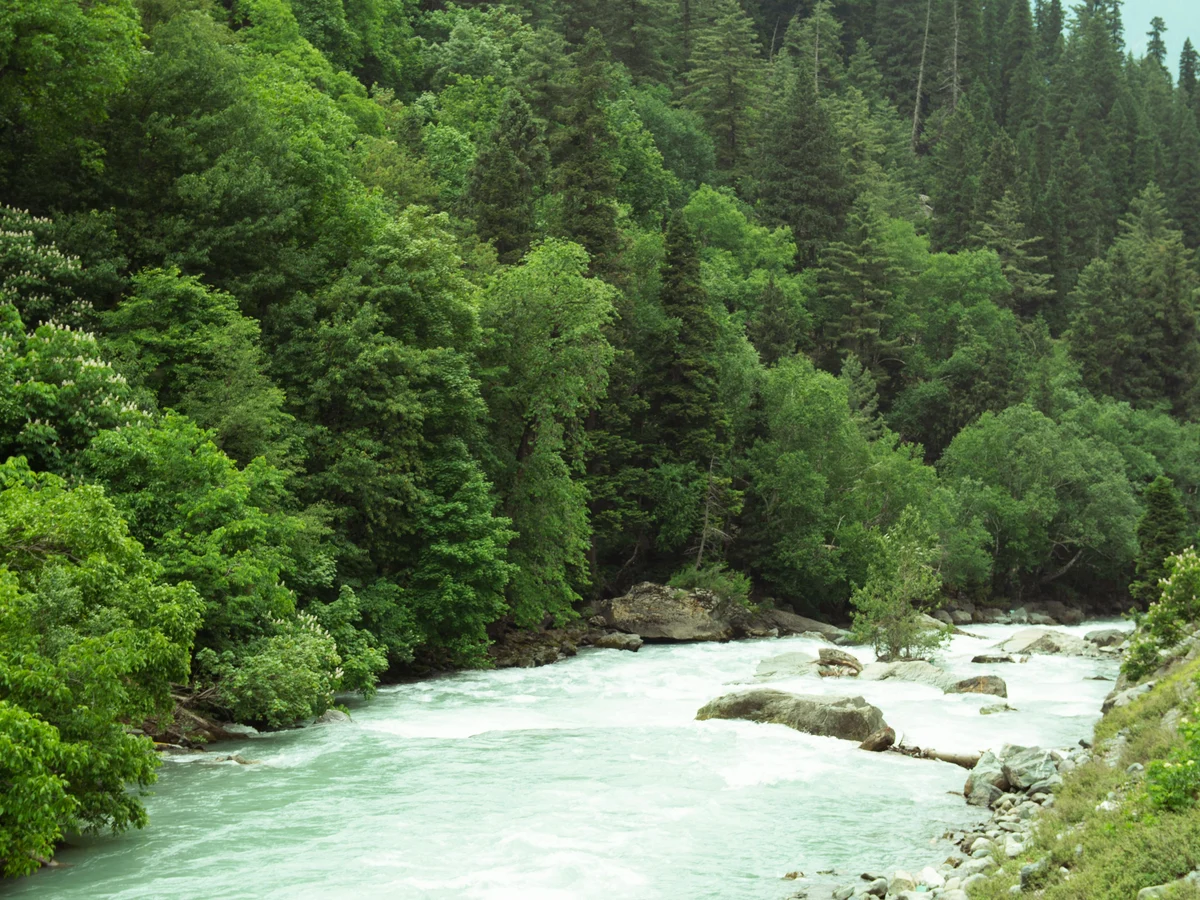 Majestic Sonamarg River in Lush Green Valley