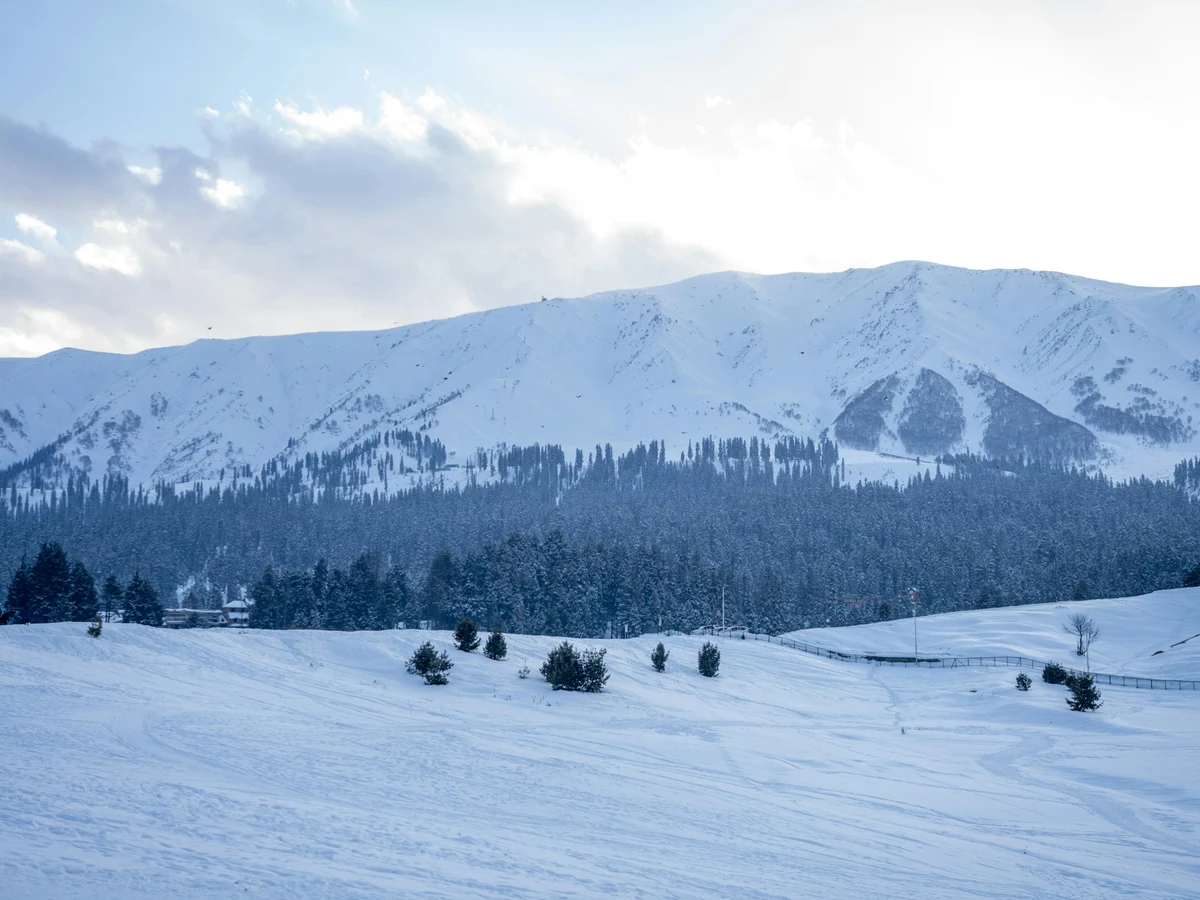 Snowy Mountain View in Gulmarg, Kashmir