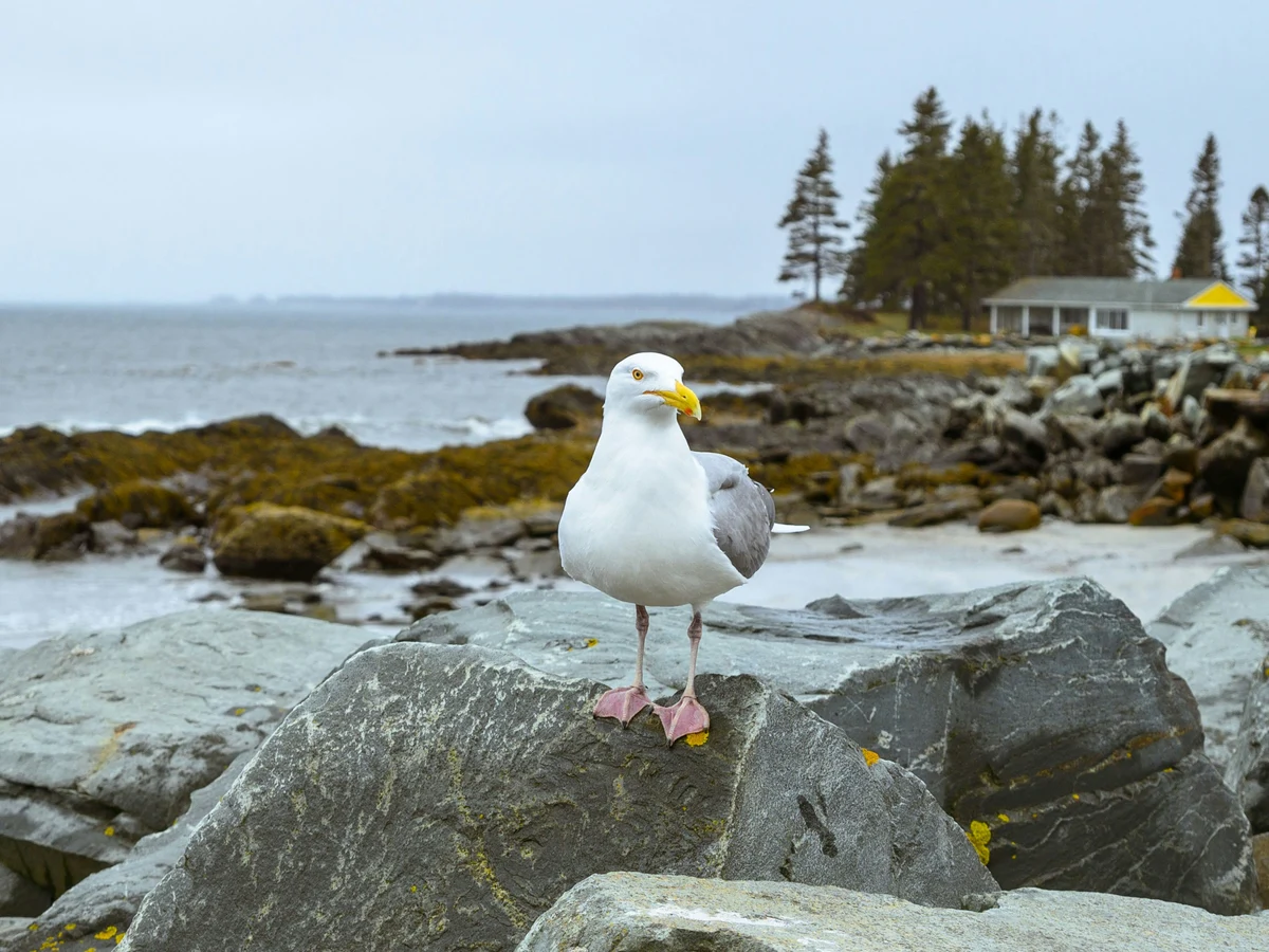 Crescent Beach, NS, Canada