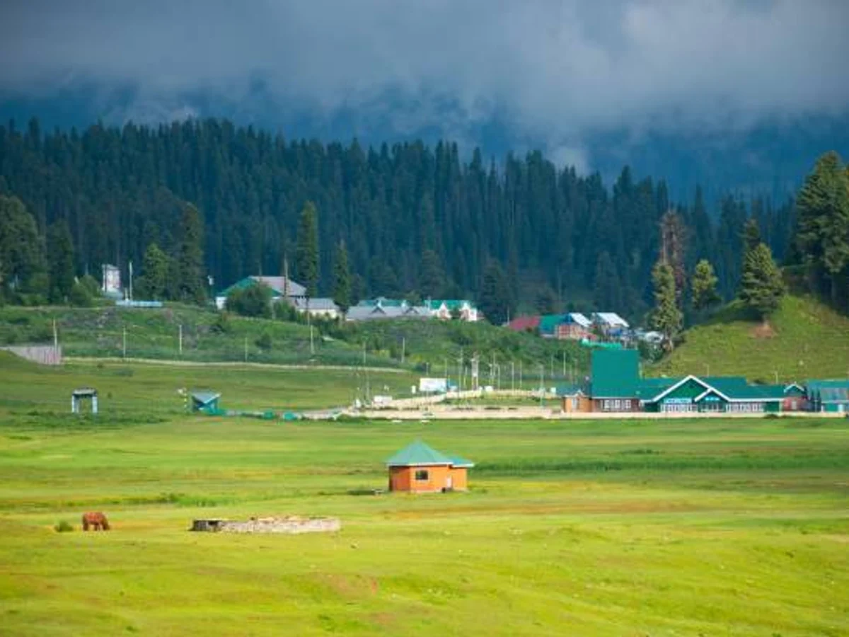 Gulmarg ( Mini Switzerland ), Jammu and Kashmir, India.