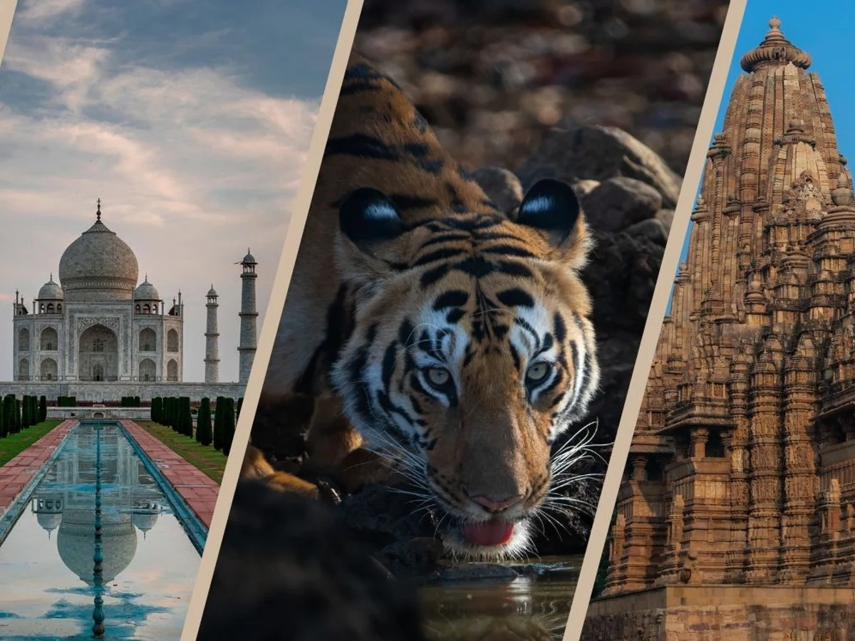 tigers-temples-and-taj