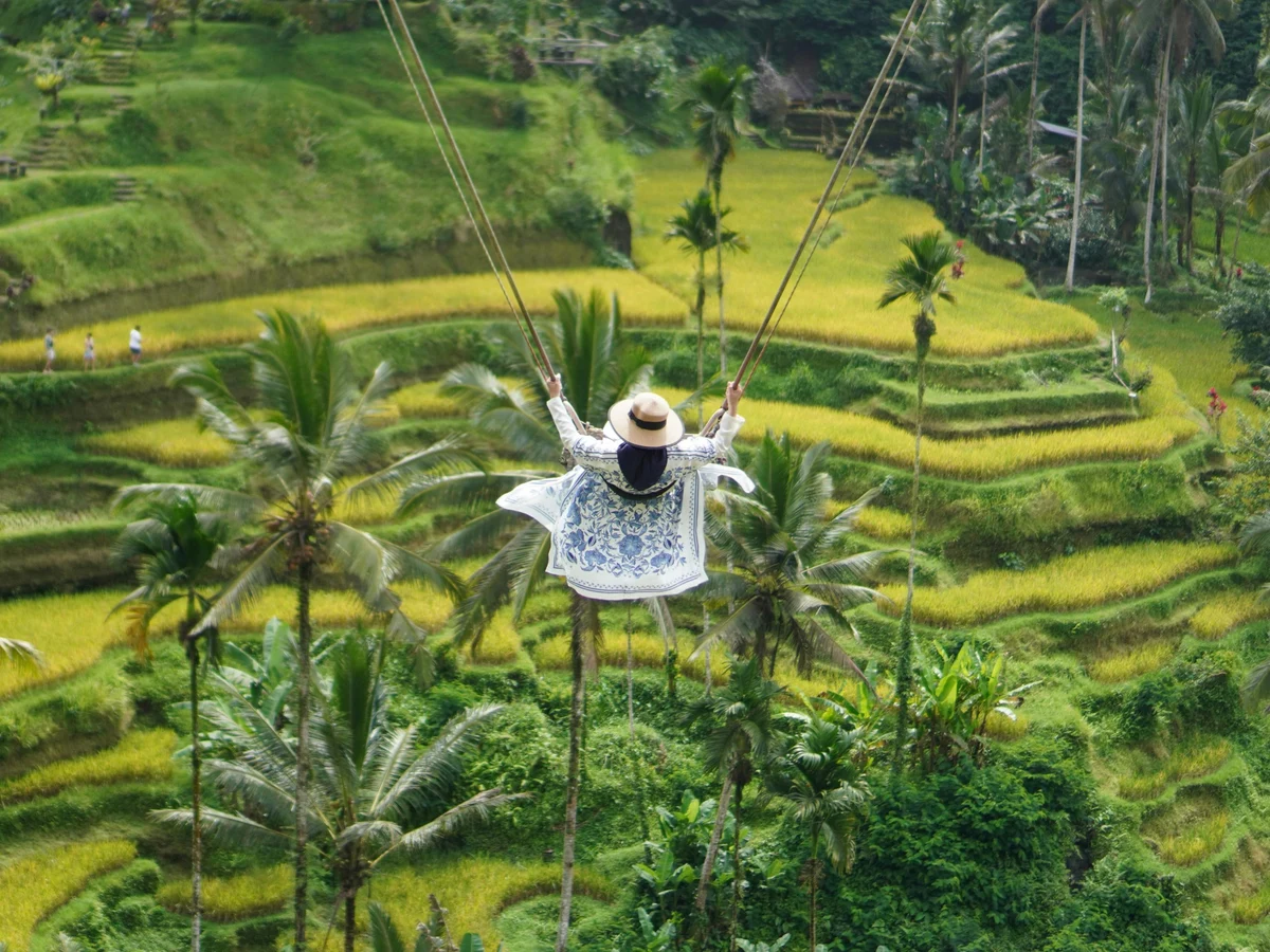 Adventurous Swing Above Bali Rice Terraces Ubud, Bali, Indonesia