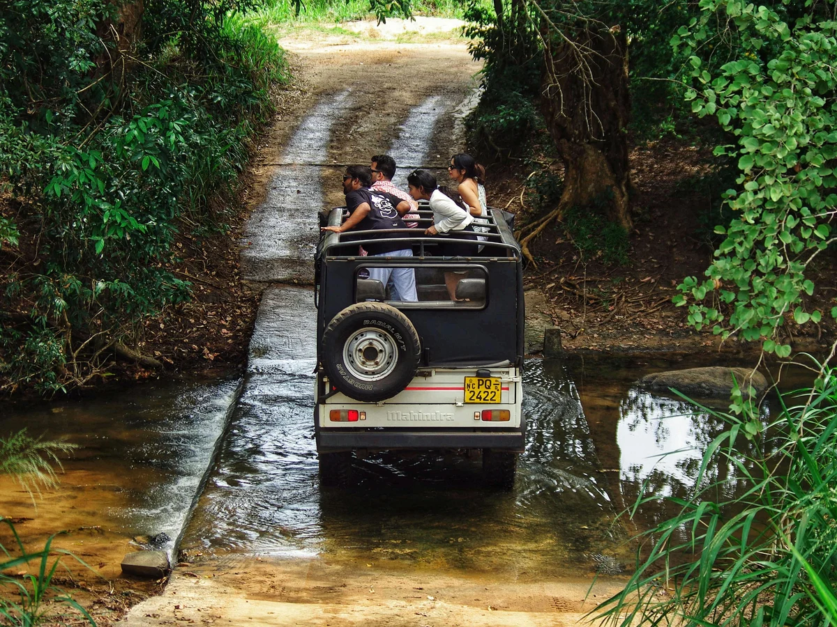 Adventurous Jeep Trail Through Lush Forest, Sri Lanka