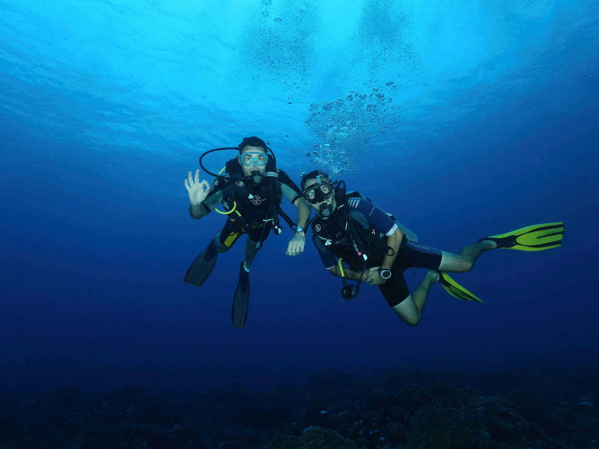 Men Wearing Fins while Diving Underwater