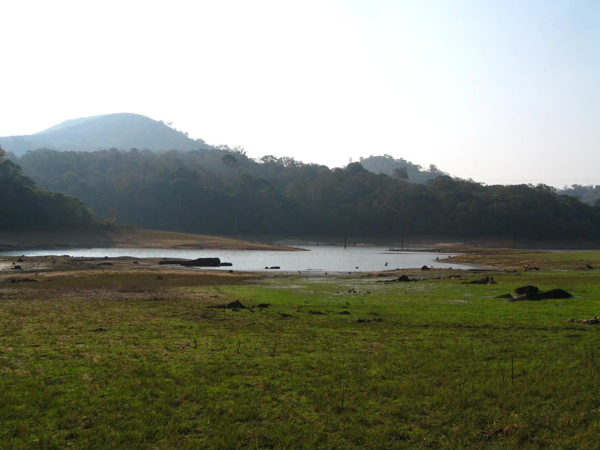 Thekkady Lake