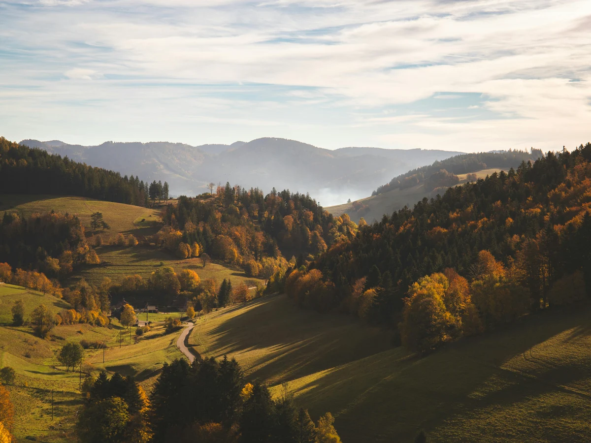 Scenic Autumn Landscape in Black Forest Germany