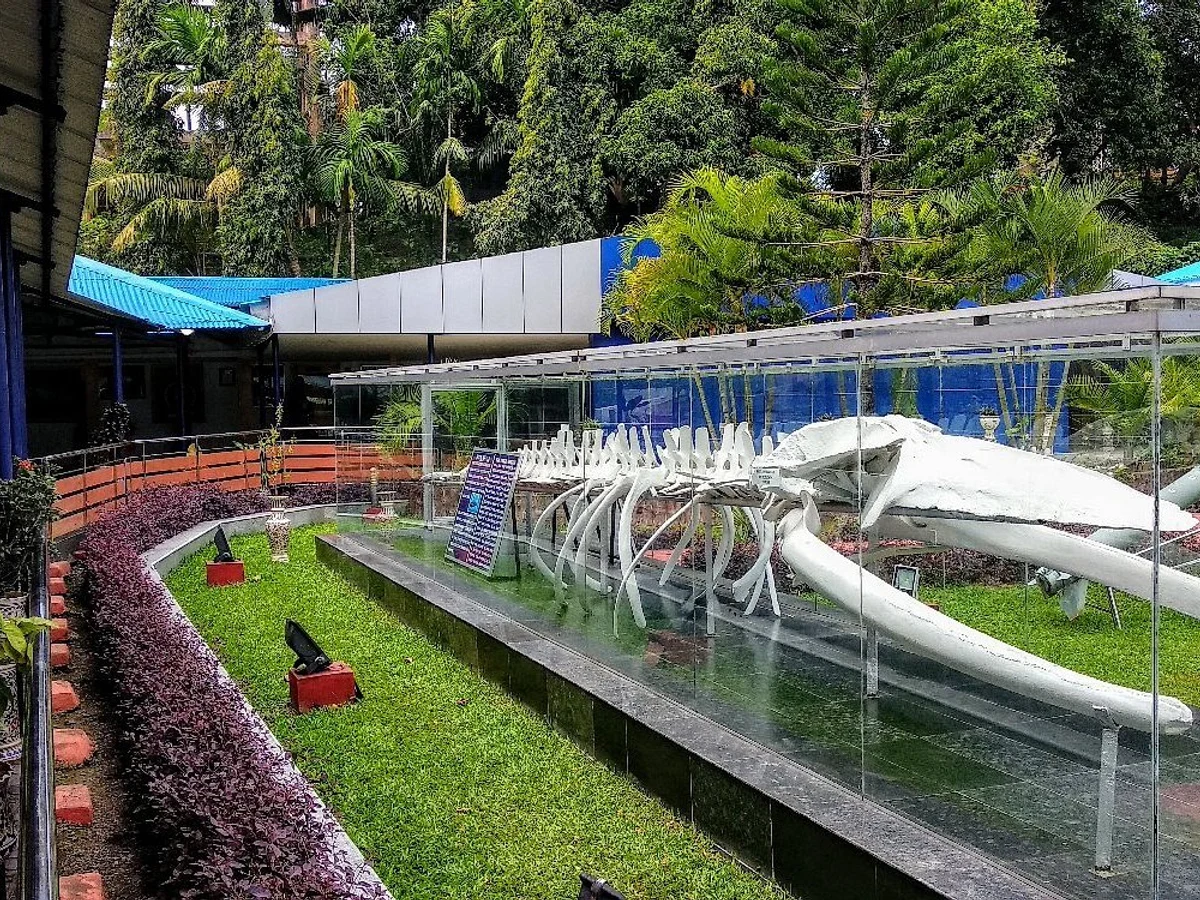  Samudrika Naval Marine Museum Port Blair | Andaman Islands