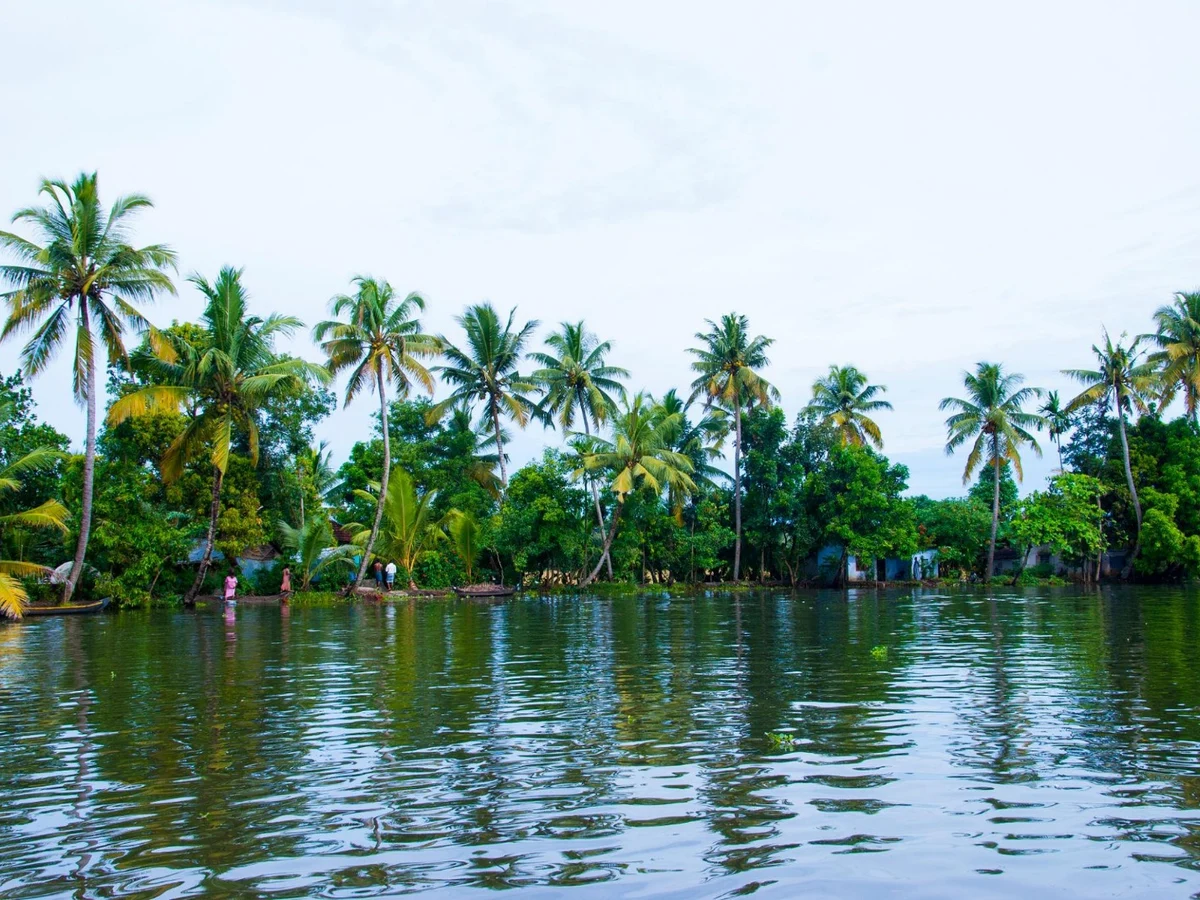 Kerala backwater major tourist attraction, Alleppey, Kerala, India.