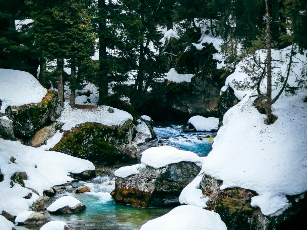 Stream in Evergreen Forest Pahalgam, India