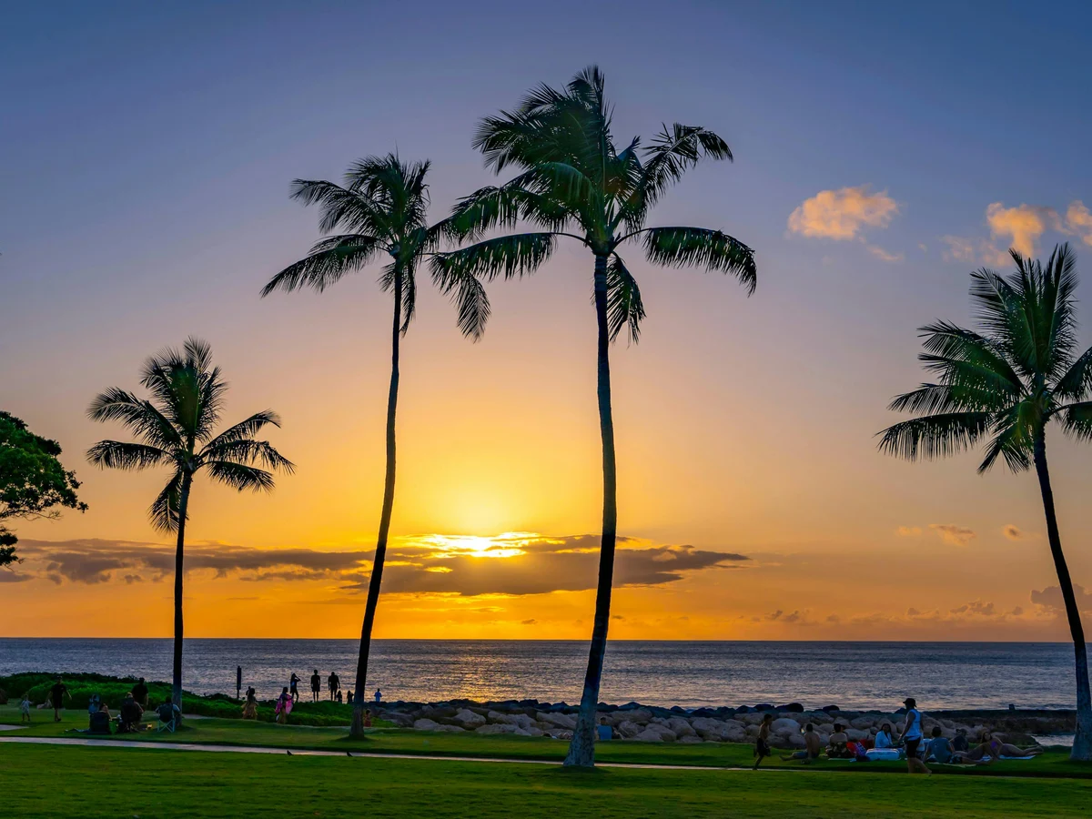Hawaiian Sunset with Palm Trees by the Ocean Andaman