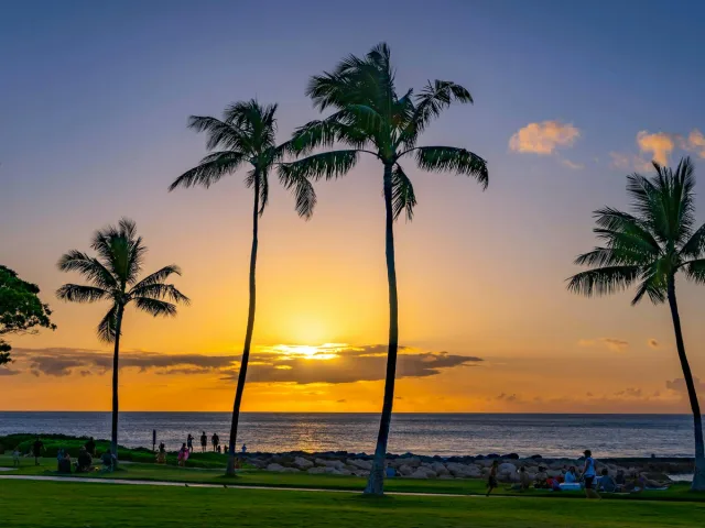 Hawaiian Sunset with Palm Trees by the Ocean Andaman