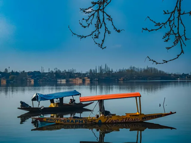 Colorful Shikara on Tranquil Lake with Trees
