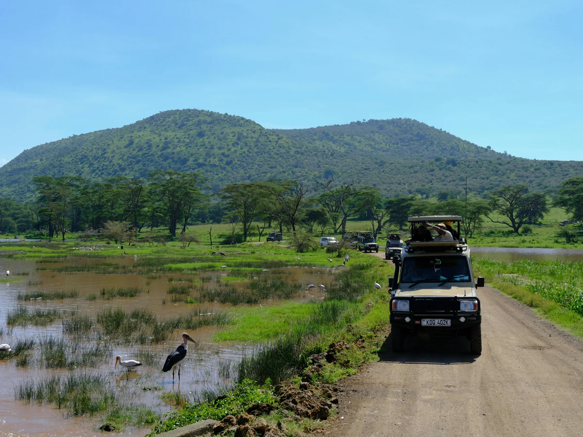 Safari Adventure in Nakuru, Kenya's Scenic Landscape