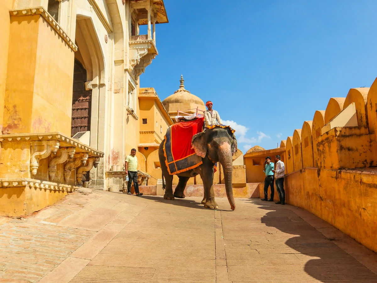 Elephant ride in Amber Palace, Jaipur, India