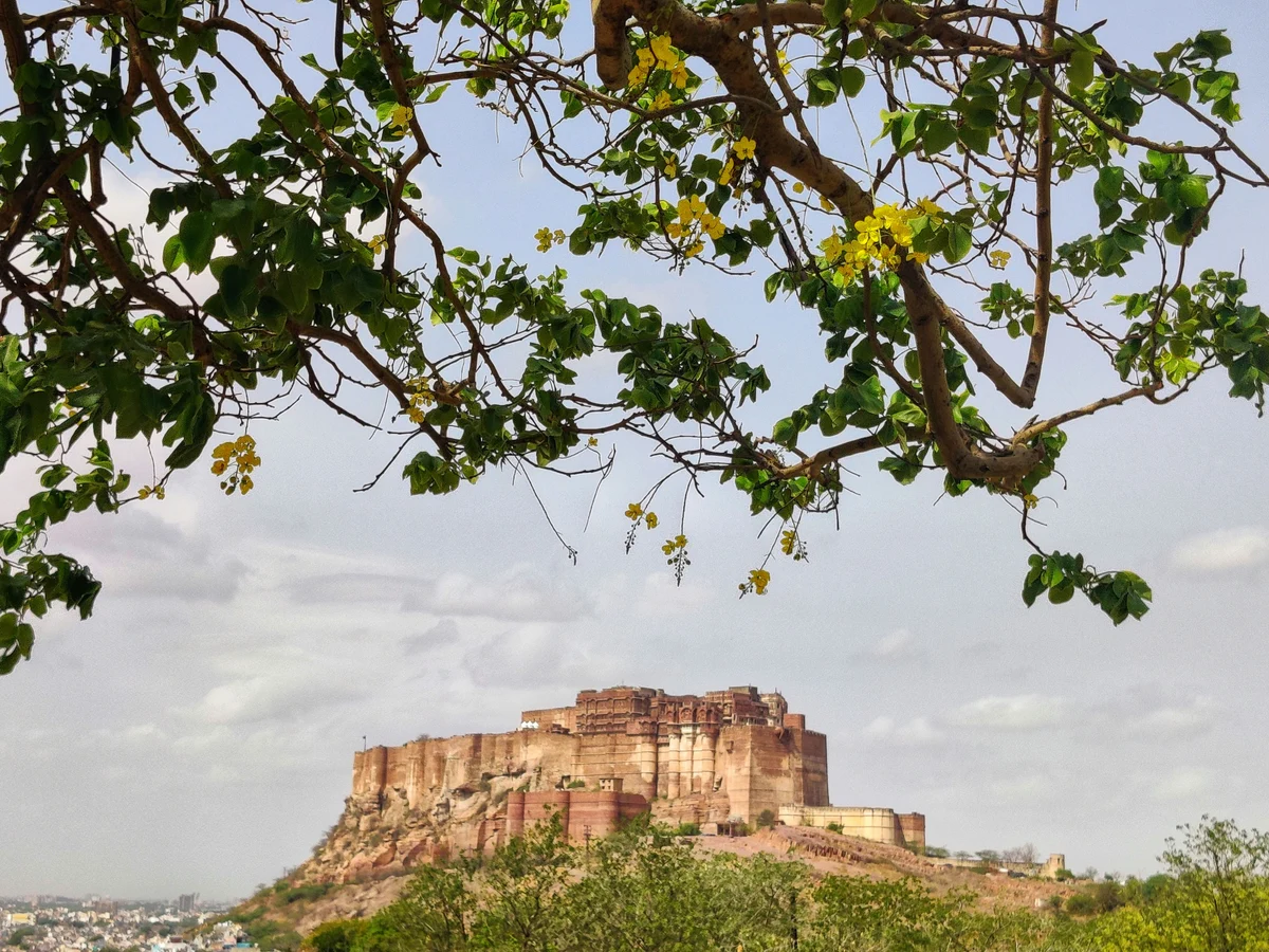 Mehrangarh Fort, Jodhpur, India 3