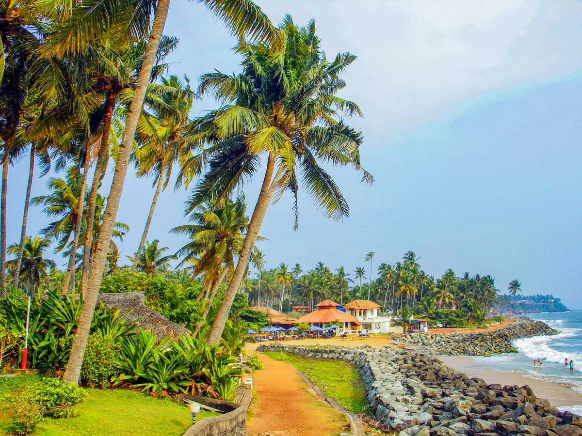 Scenic View of Coconut Trees on the Beach