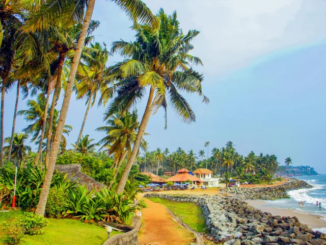 Scenic View of Coconut Trees on the Beach
