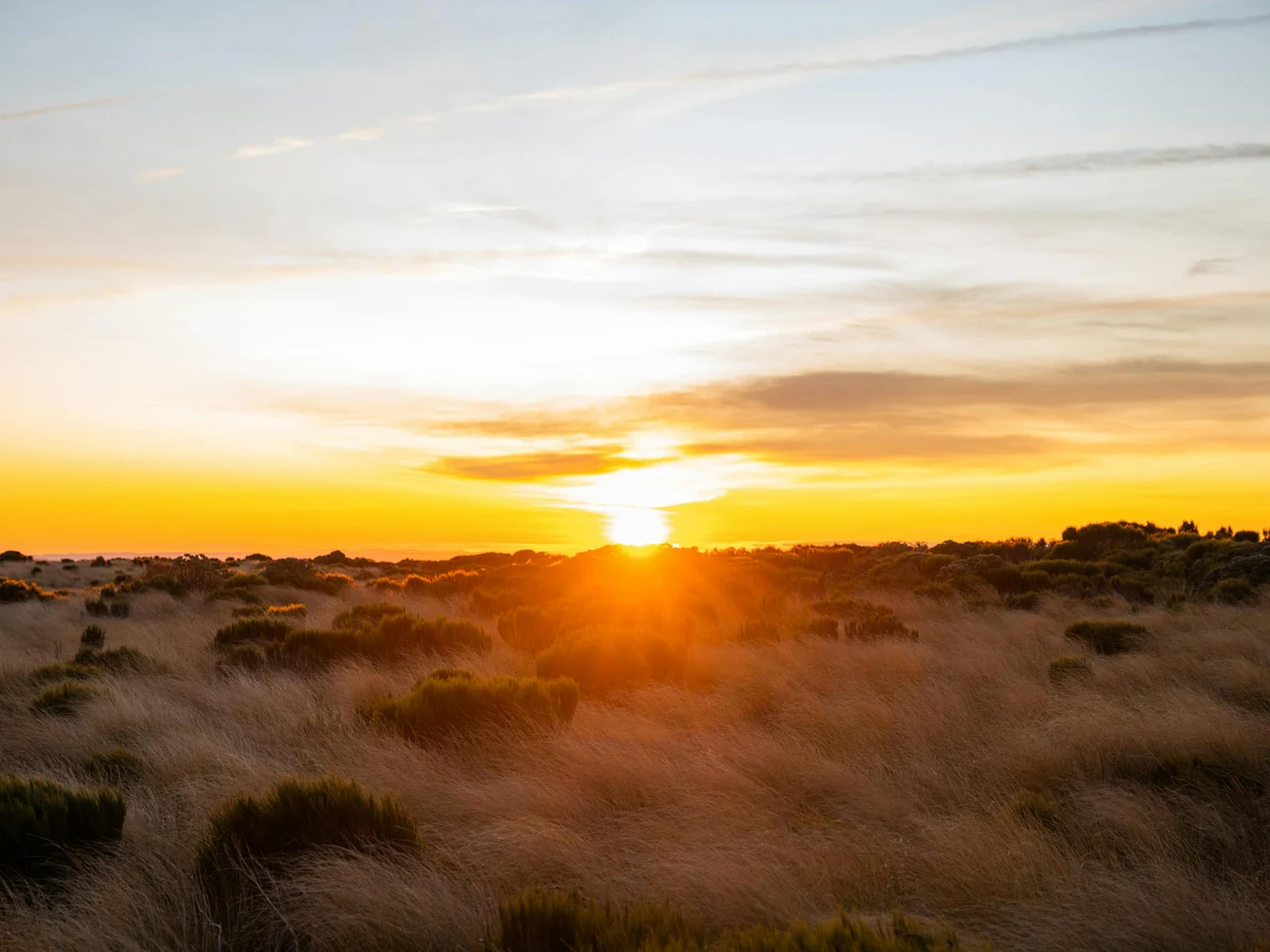 Sunrise over a Field, Mangorei, Taranaki, New Zealand