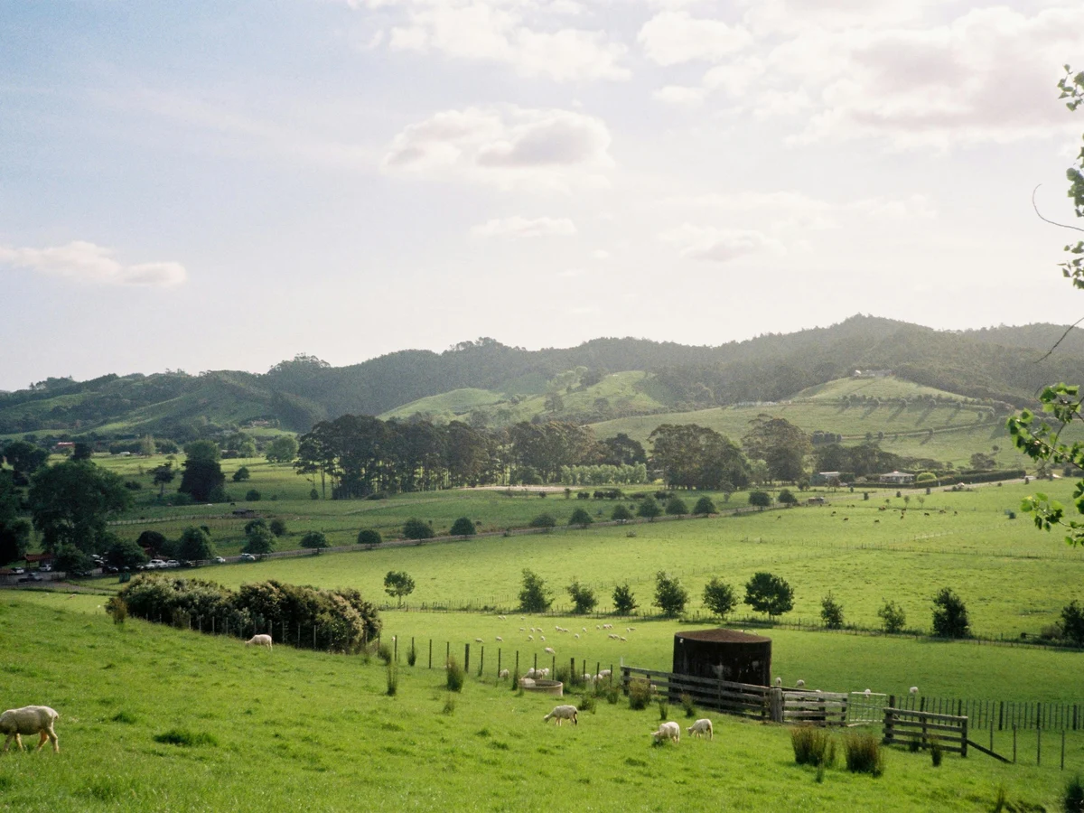 Auckland, New Zealand