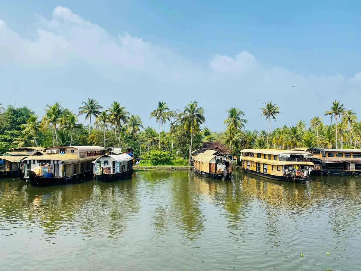 Scenic Houseboats on Kerala's Backwaters